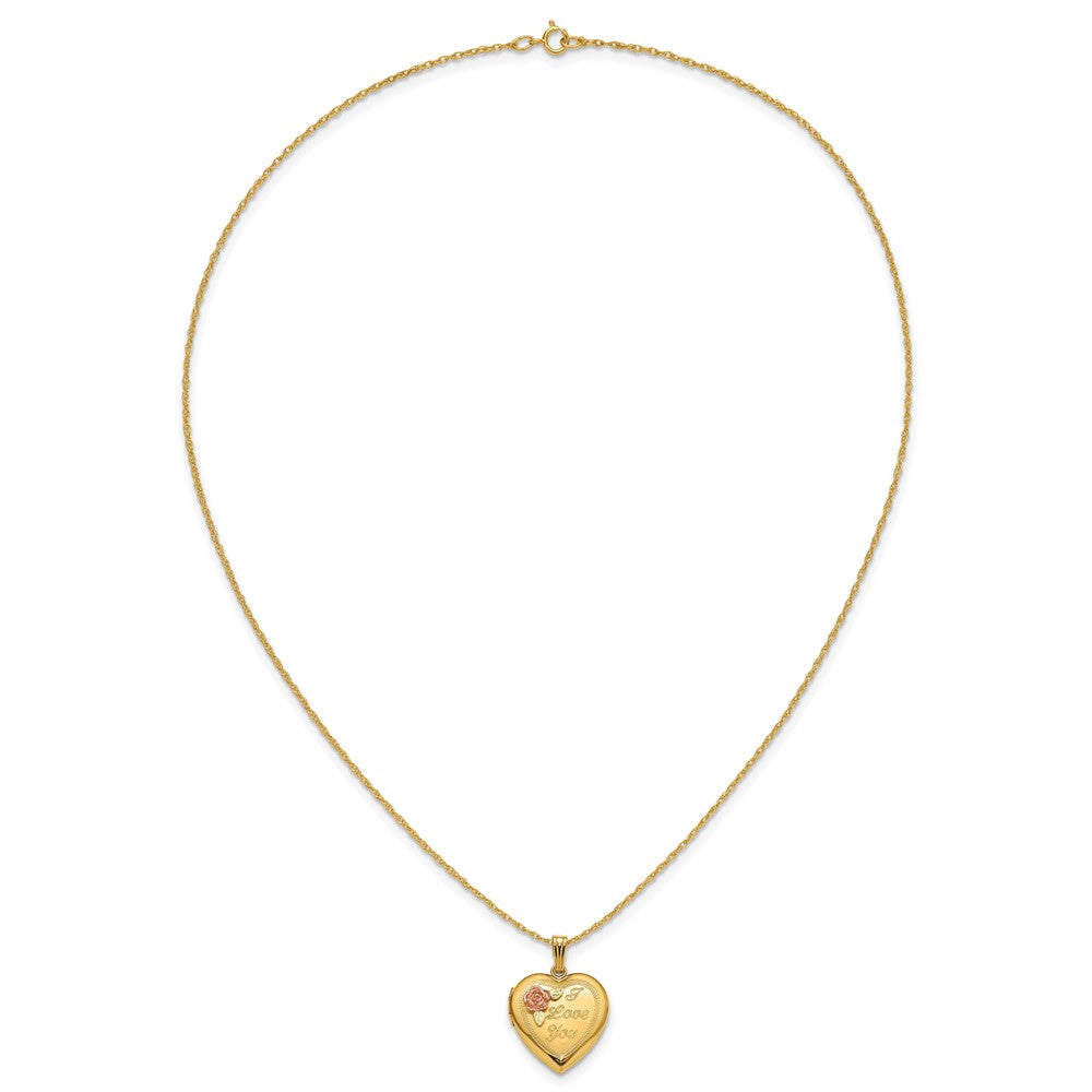10k Tri Color w/ 12k Accents and 14k Gold-filled Chain Black Hills Locket