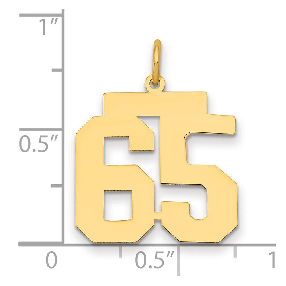 14K Yellow Gold Medium Polished Number 65 Charm