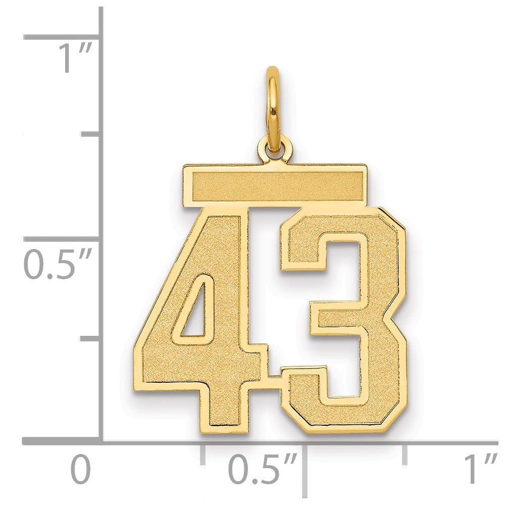 14K Yellow Gold Medium Satin Number 43 Charm