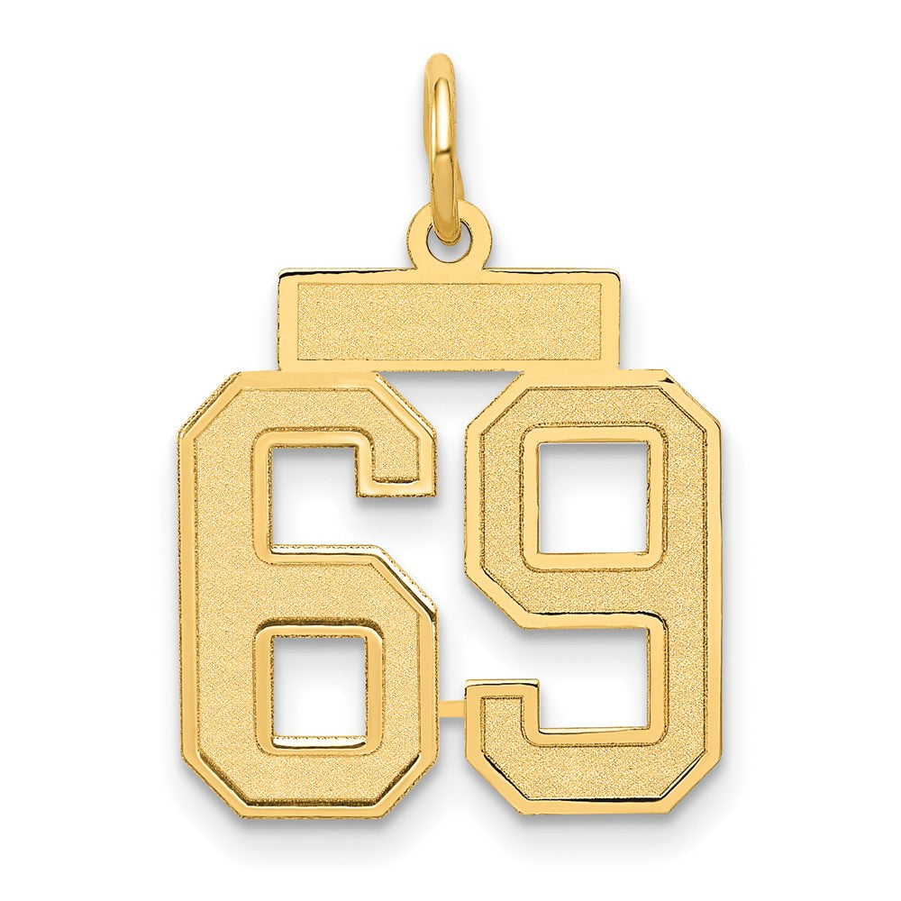14K Yellow Gold Small Satin Number 69 Charm