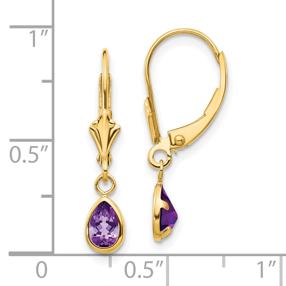 14K Yellow Gold 6X4mm Amethyst/February Earrings