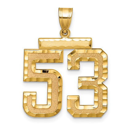 10K Yellow Gold Large Brushed Diamond-cut Number 53 Charm