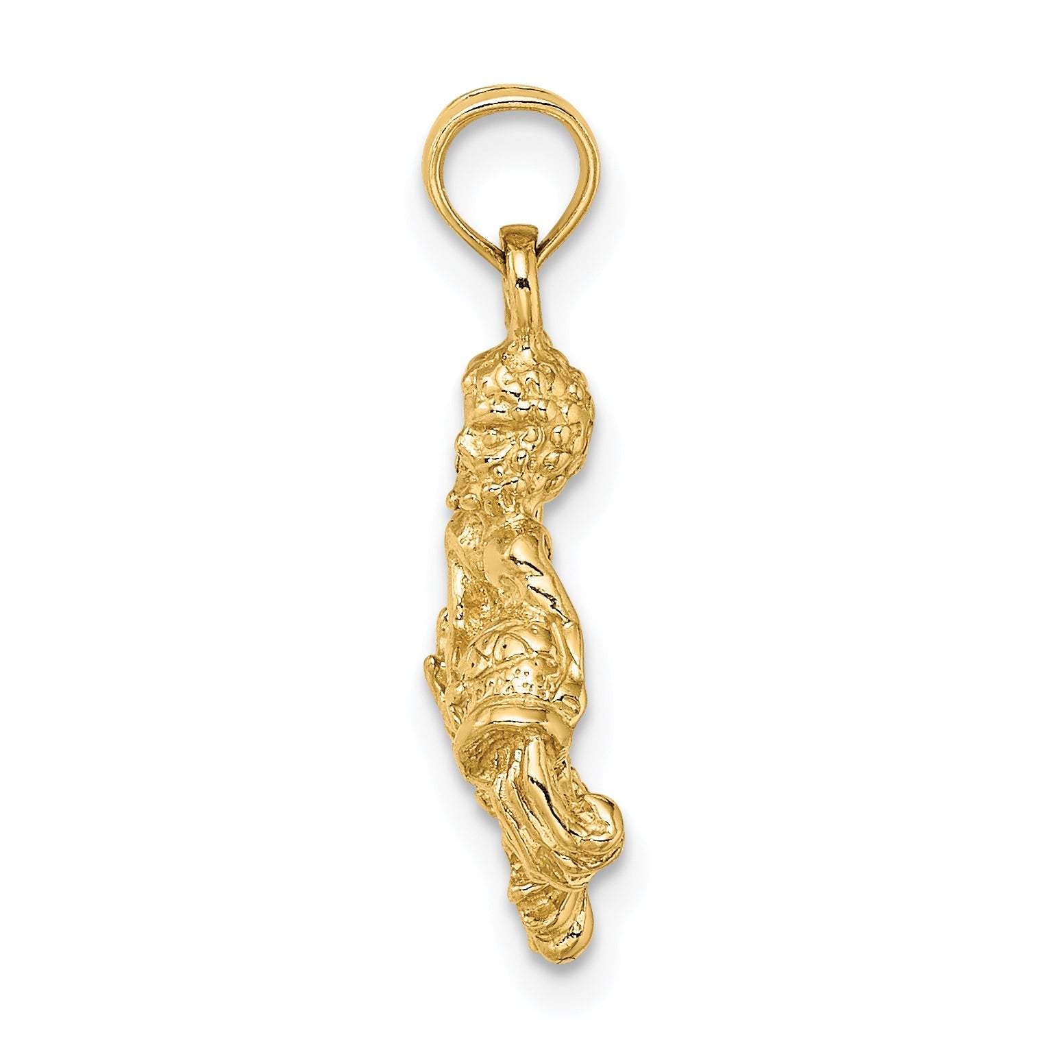 10K Yellow Gold 10K 3-D Aquarius Zodiac Pendant