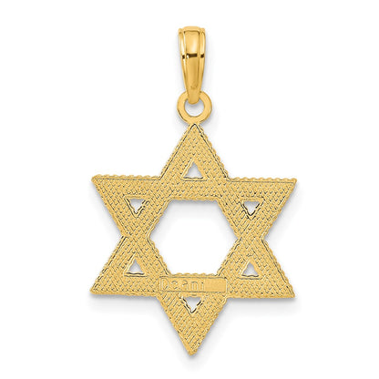 10K Yellow Gold 10K Star Of David Pendant
