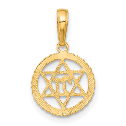10K Yellow Gold 10K Star Of David And Chai In Circle Pendant