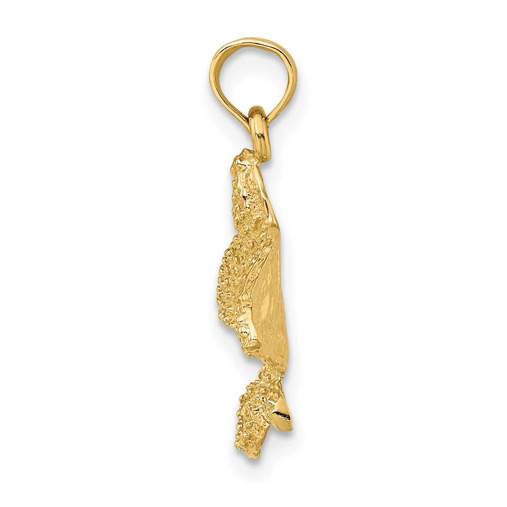 10K Yellow Gold 10K Textured Spotted Eagle Ray Charm