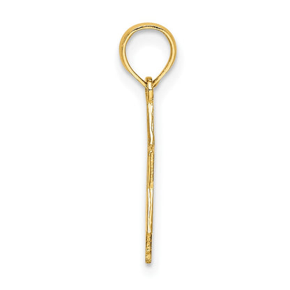 10K Yellow Gold 10K Polished Star Of David Charm