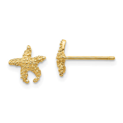10K Yellow Gold 10K Polished Textured Starfish Post Earrings