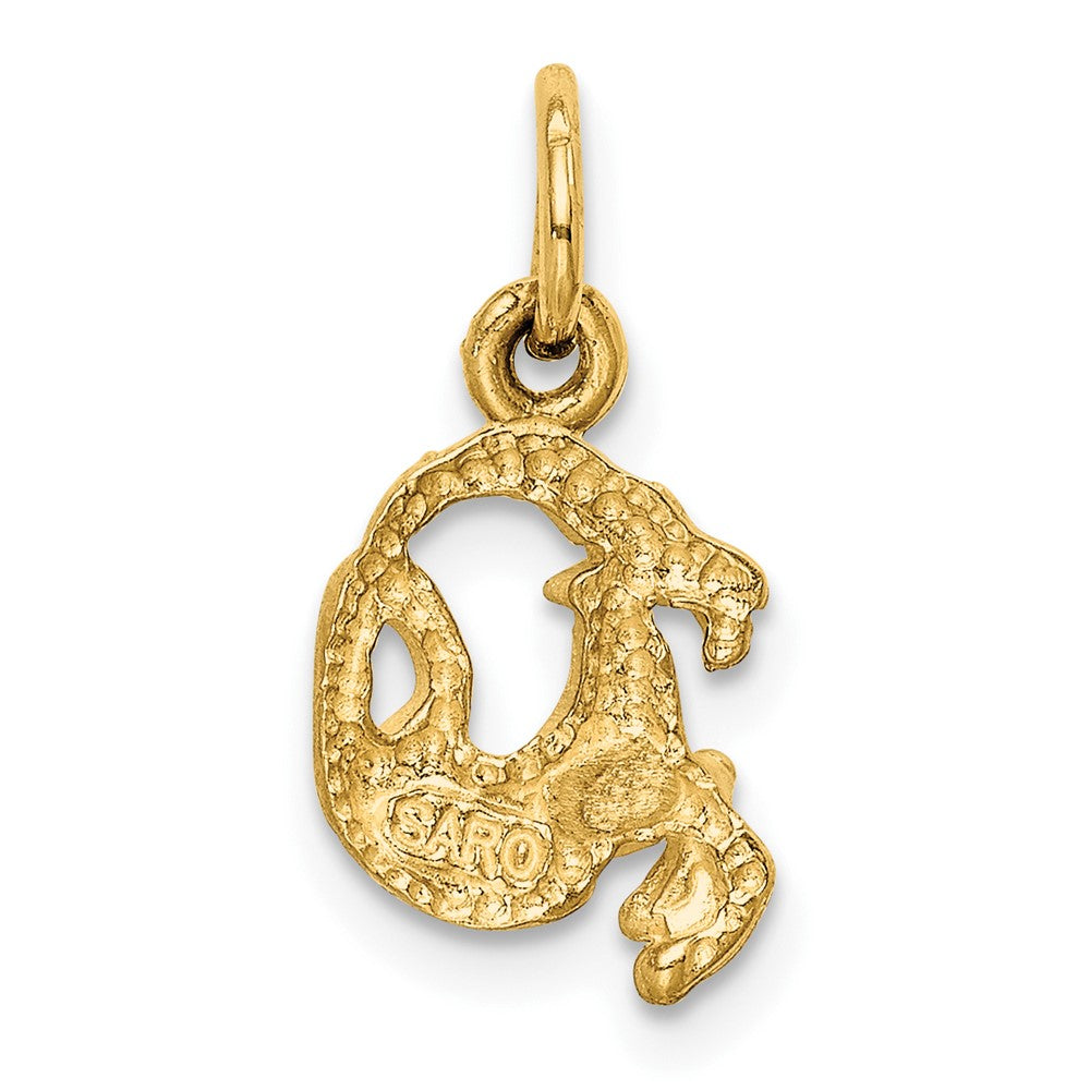 10K Yellow Gold Capricorn Zodiac Charm