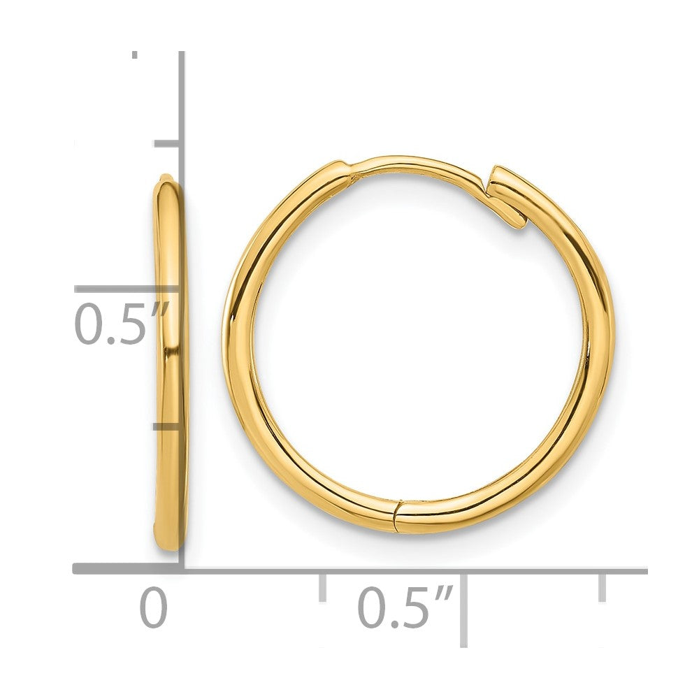 14K Yellow Gold Polished Hinged Hoop Earrings
