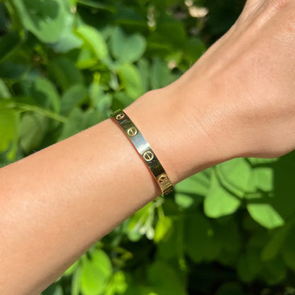 Designer Inspired Brushed LOVE Bangle Bracelet Classic Model Screw Clasp