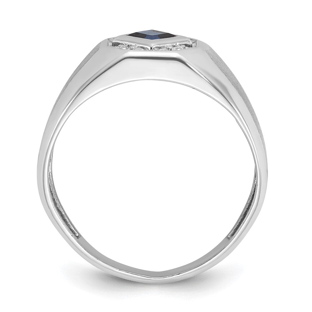 14k White Gold Men's Created Sapphire and 1/20 carat Diamond Satin Complete Ring