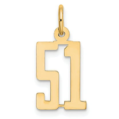 14K Yellow Gold Small Elongated Number 51 Charm