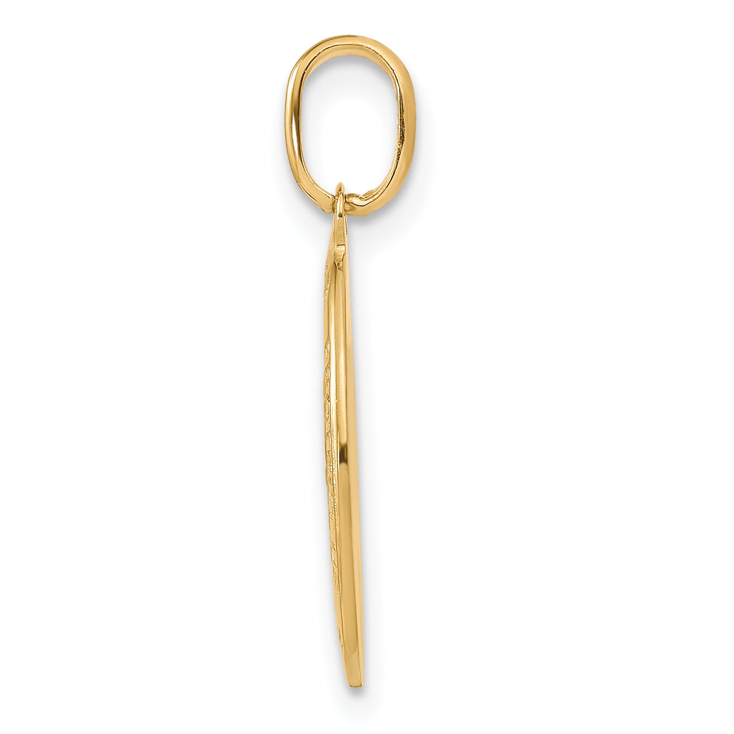 14K Yellow Gold Polished And Satin Oval St. Christopher Pendant