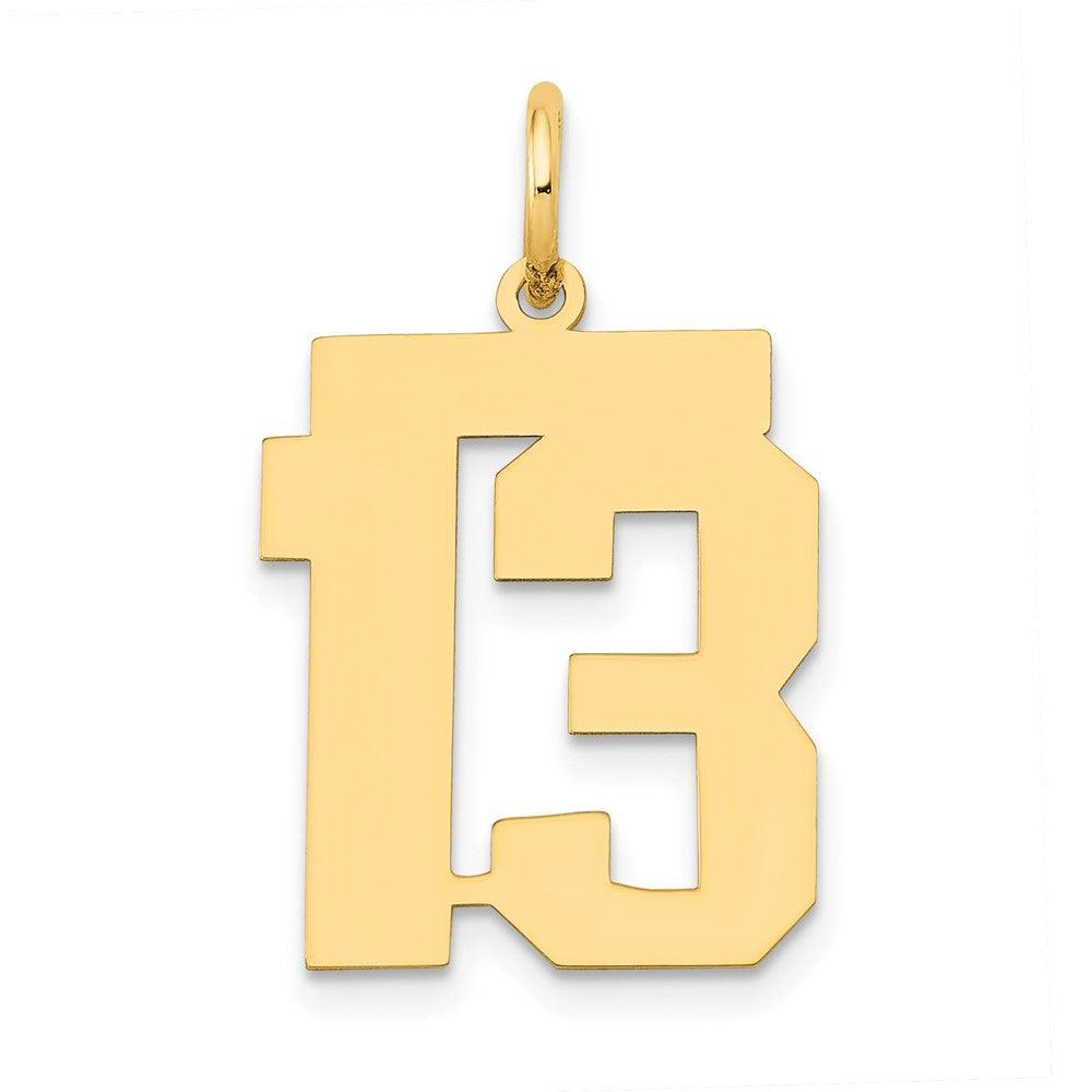 14K Yellow Gold Medium Polished Number 13 Charm