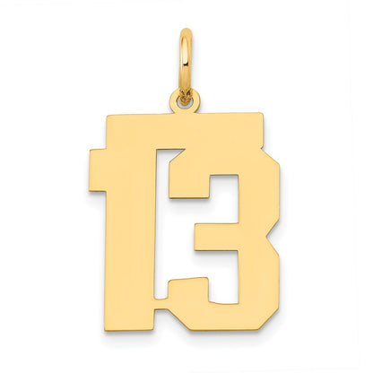 14K Yellow Gold Medium Polished Number 13 Charm