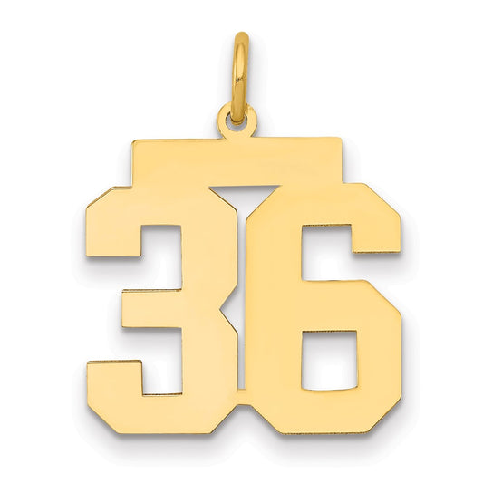 14K Yellow Gold Medium Polished Number 36 Charm