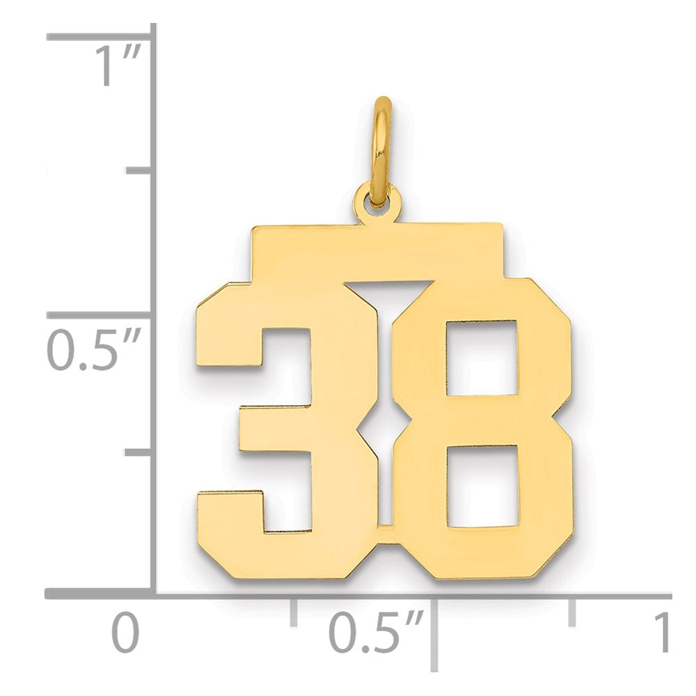 14K Yellow Gold Medium Polished Number 38 Charm