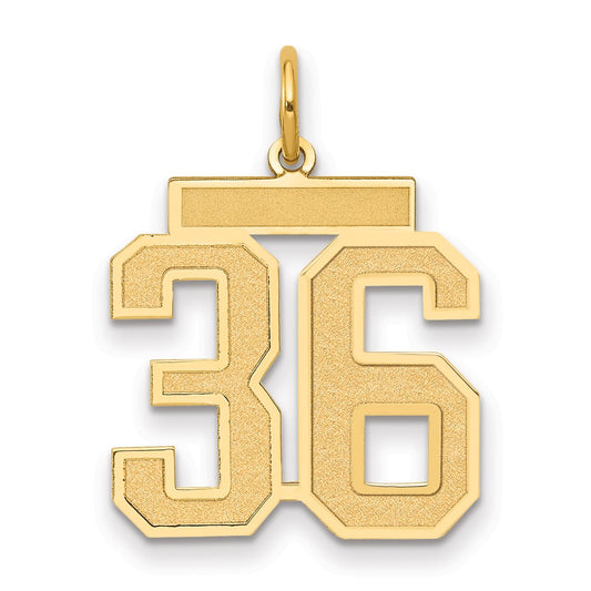 14K Yellow Gold Medium Satin Number 36 Charm