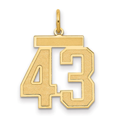 14K Yellow Gold Medium Satin Number 43 Charm