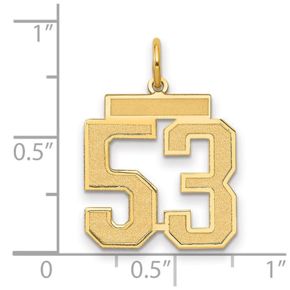 14K Yellow Gold Medium Satin Number 53 Charm
