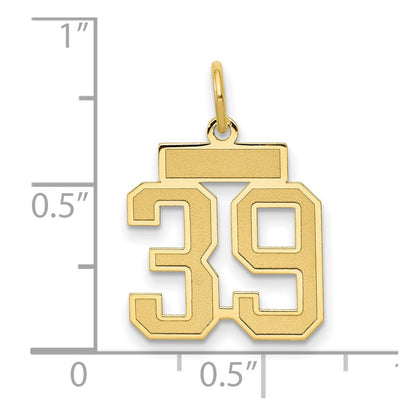 14K Yellow Gold Small Satin Number 39 Charm