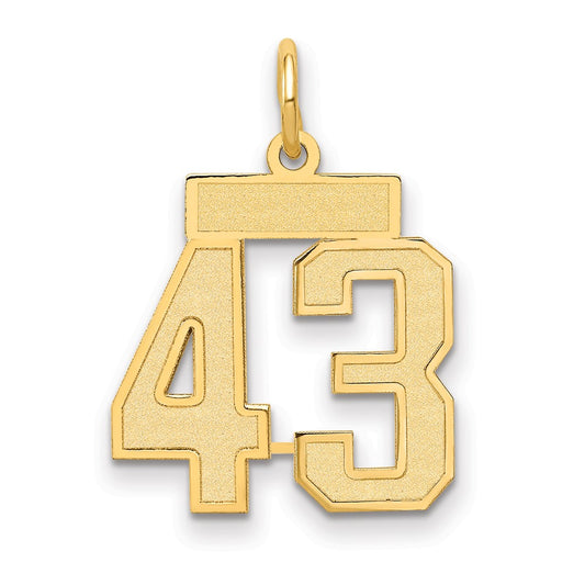 14K Yellow Gold Small Satin Number 43 Charm