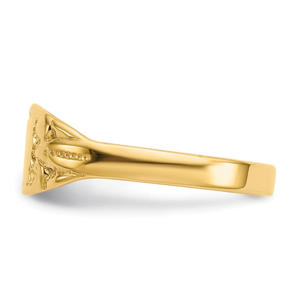 14k Yellow Gold Polished Rectangular Baby Signet Ring