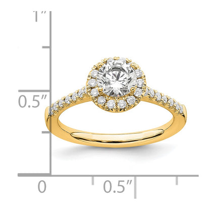 14k Yellow Gold 3/4 Ct. Lab Grown Diamond VS/SI+ G+ Round Halo Engagement Ring