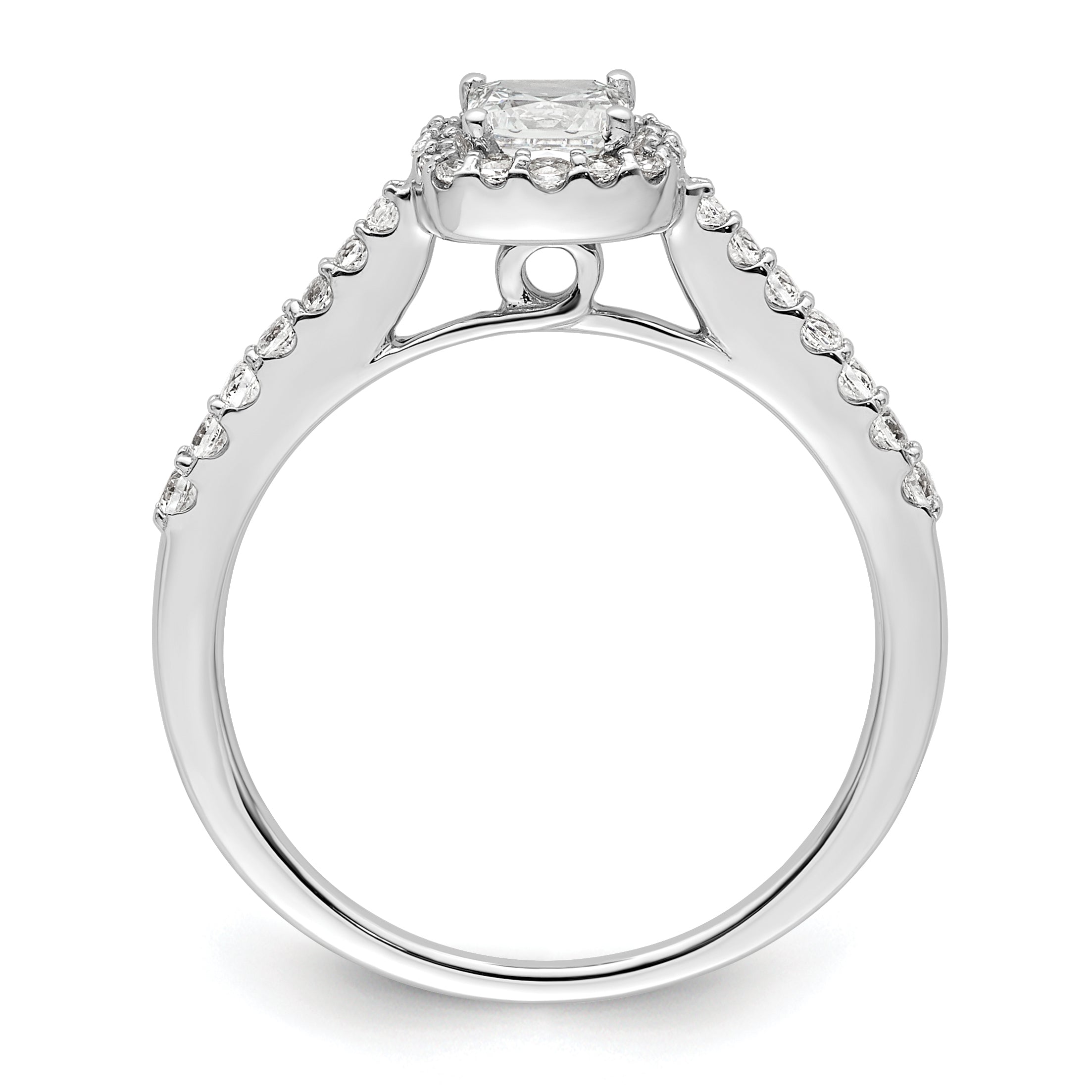 14K White Gold Halo Plus (Holds 1/2 Carat (4.3mm) Princess Center) 1/3 Diamond Semi Mount Engagement Ring