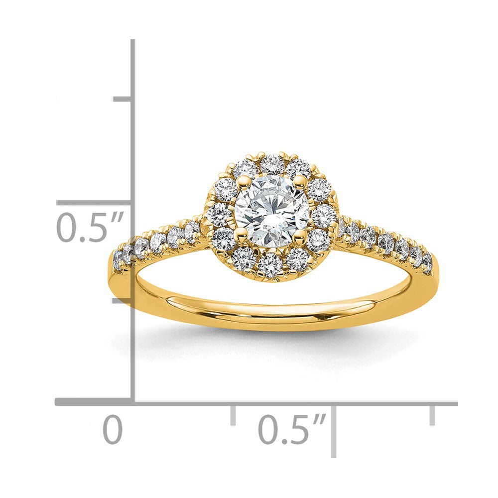 14k Yellow Gold 3/4 Ct. Lab Grown Diamond VS/SI+ G+ Round Halo Engagement Ring