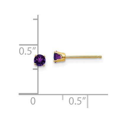 14K Yellow Gold 3mm February/Amethyst Post Earrings