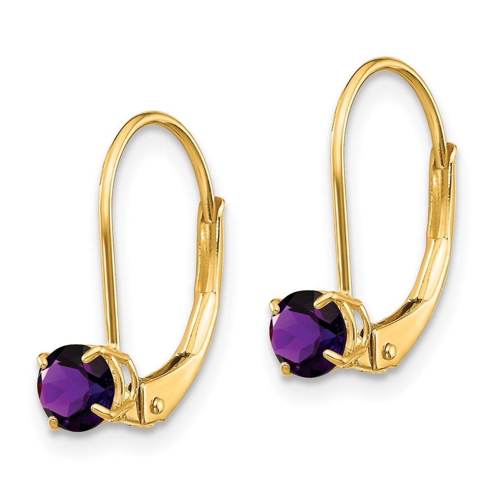 14K Yellow Gold Amethyst Earrings February
