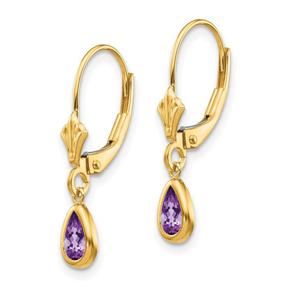 14K Yellow Gold 6X4mm Amethyst/February Earrings