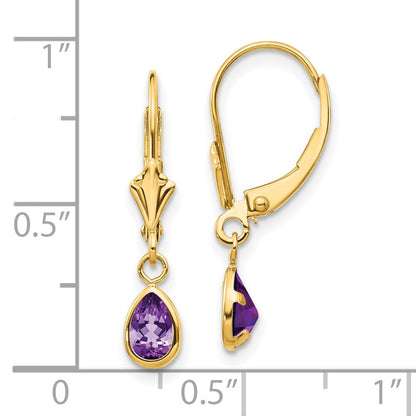 14K Yellow Gold 6X4mm Amethyst/February Earrings