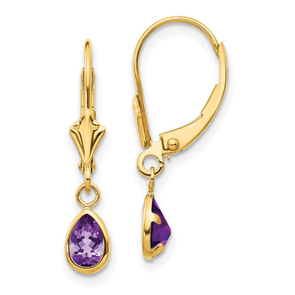 14K Yellow Gold 6X4mm Amethyst/February Earrings