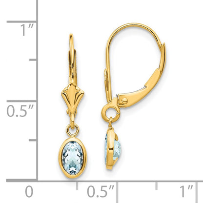 14K Yellow Gold 6X4mm Aquamarine/March Earrings