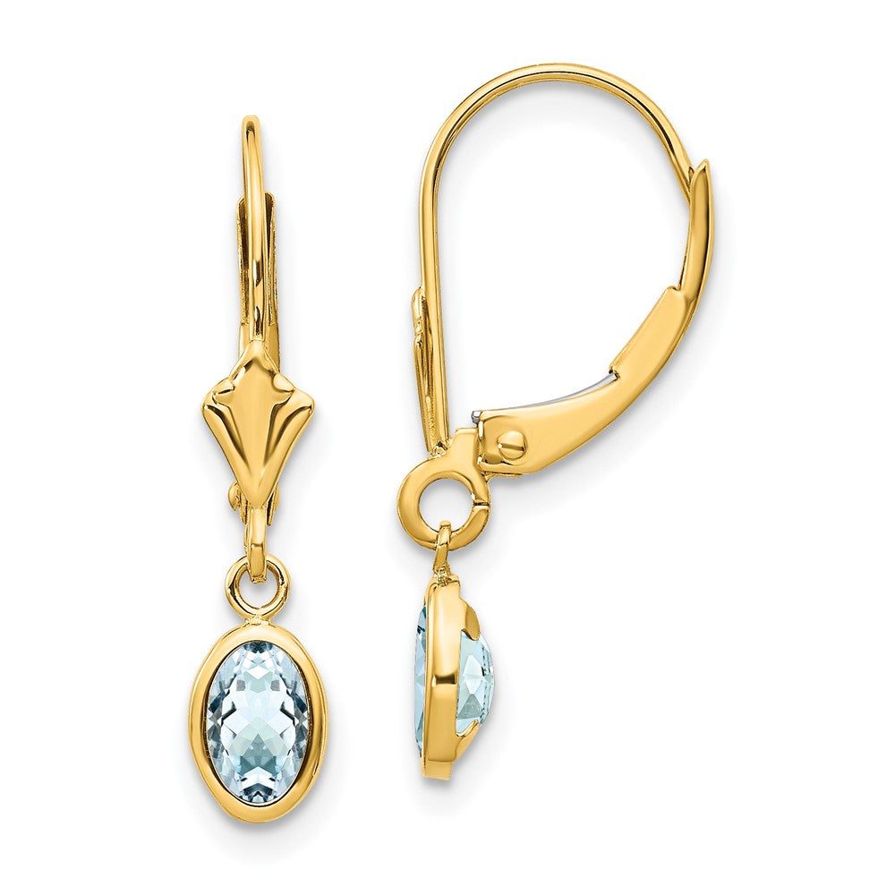 14K Yellow Gold 6X4mm Aquamarine/March Earrings