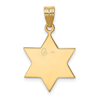 14k Two-tone Gold Two-tone Gold Star Of David Pendant