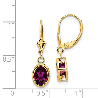 14k Yellow Gold 8x6mm Oval Rhodolite Garnet Leverback Earrings