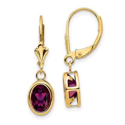 14k Yellow Gold 8x6mm Oval Rhodolite Garnet Leverback Earrings