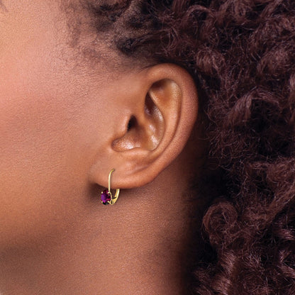 14k Yellow Gold 6x4mm Oval Rhodolite Garnet leverback earring