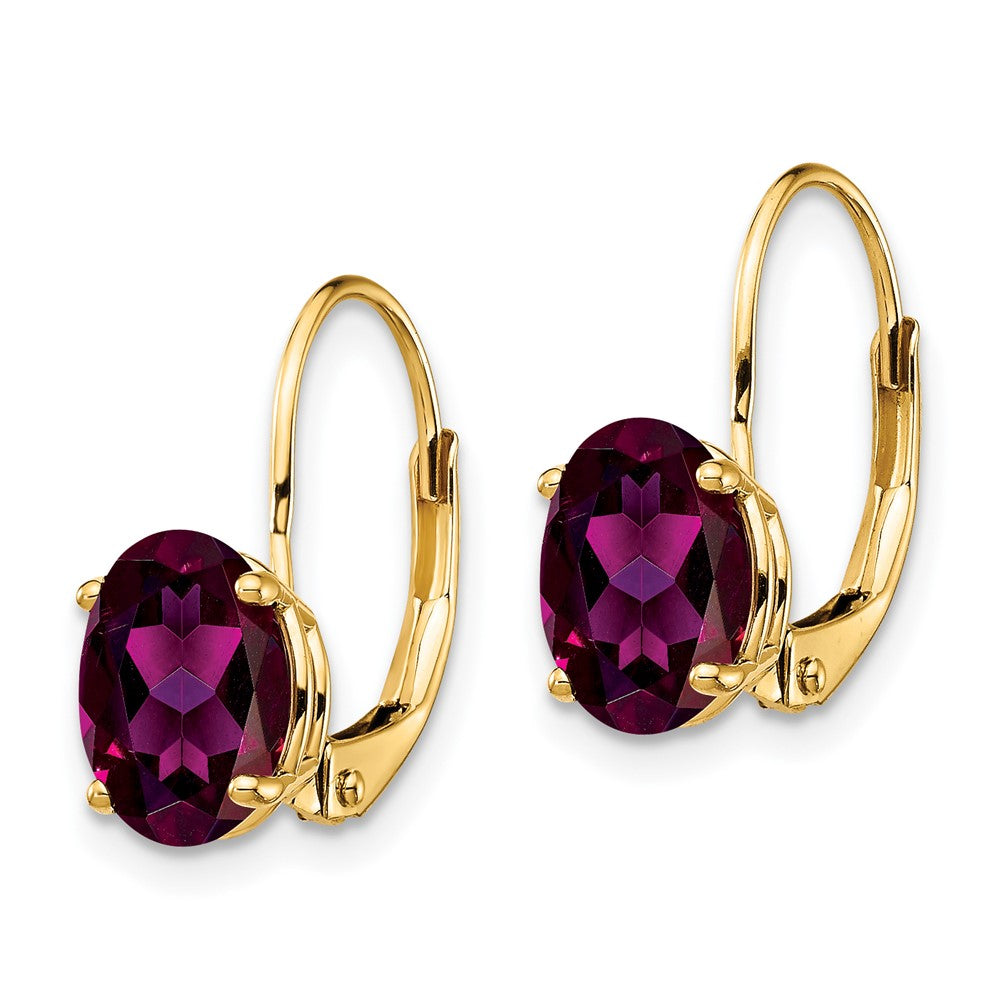 14k Yellow Gold 8x6mm Oval Rhodolite Garnet Leverback Earrings