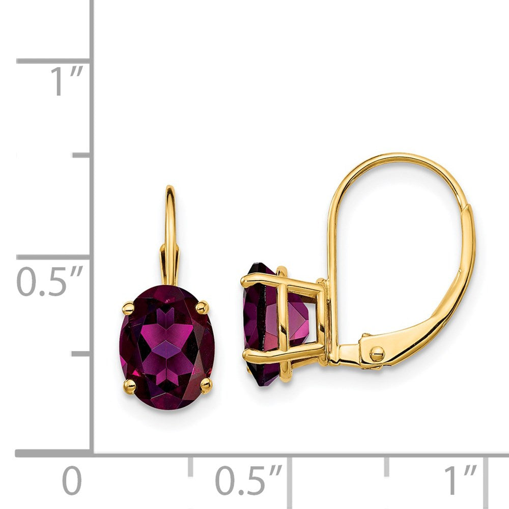 14k Yellow Gold 8x6mm Oval Rhodolite Garnet Leverback Earrings