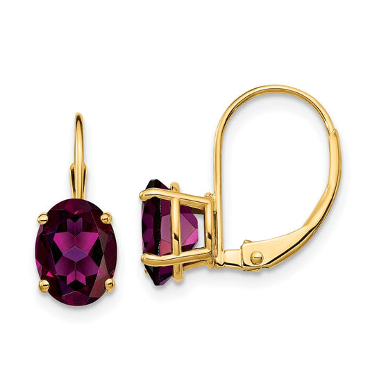 14k Yellow Gold 8x6mm Oval Rhodolite Garnet Leverback Earrings