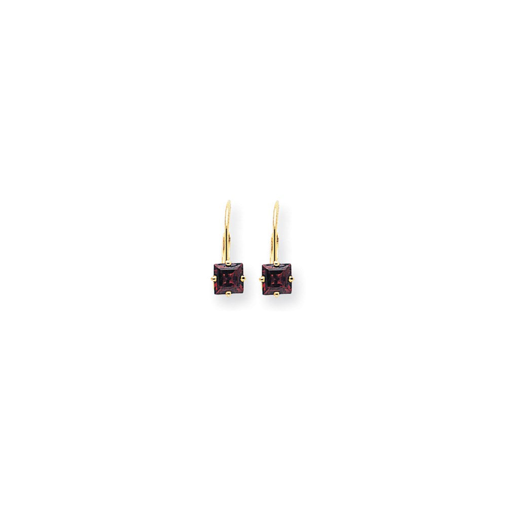 14k Yellow Gold 5mm Princess Cut Rhodolite Garnet Leverback Earrings