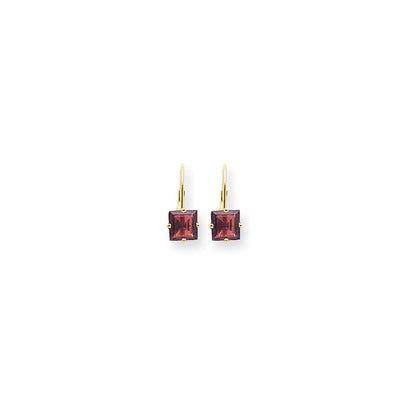 14k Yellow Gold 6mm Princess Cut Rhodolite Garnet Leverback Earrings