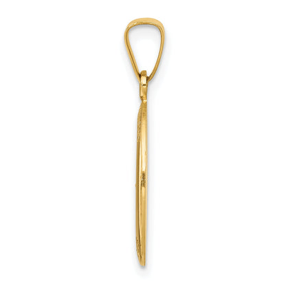 14k Yellow Gold 14k Polished and Satin St. Anthony Medal Hollow Pendant