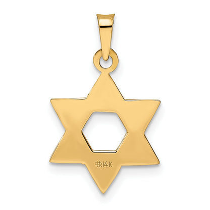 14K Rose Gold Polished Solid Star Of David Pendant