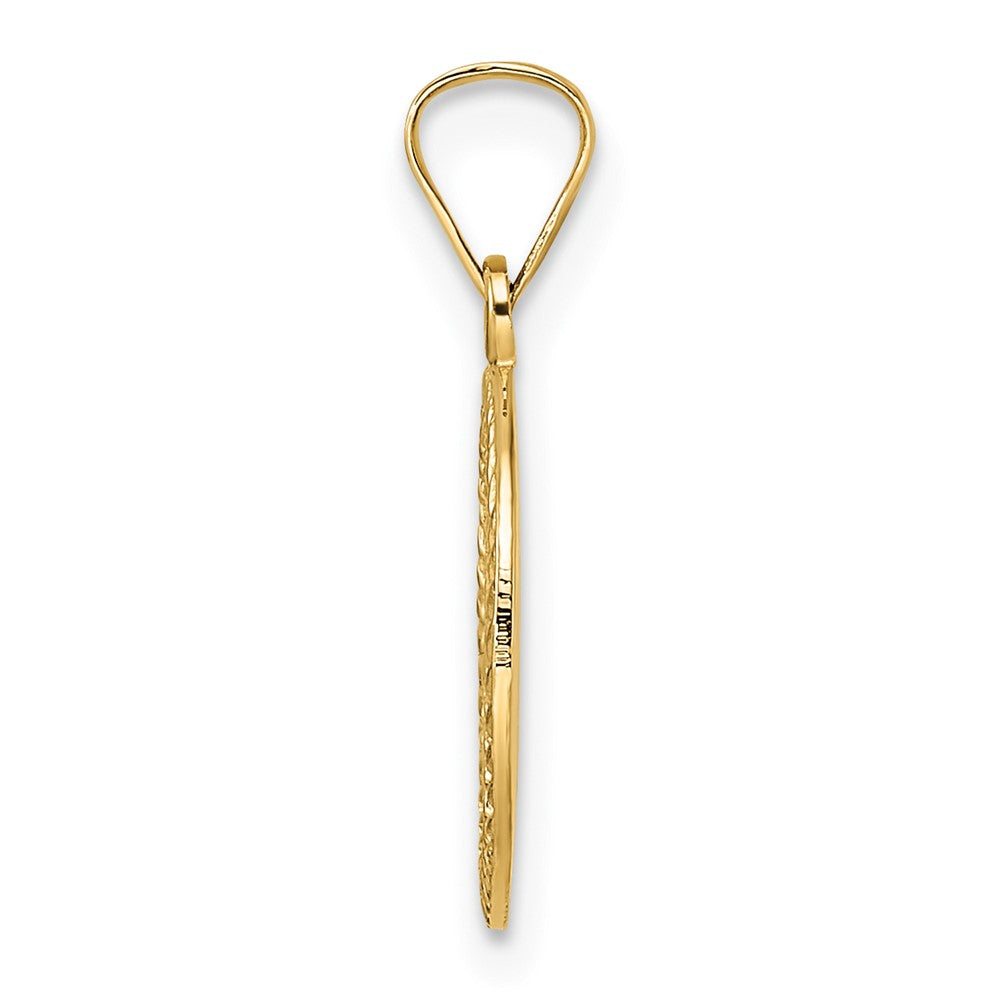 14K Yellow Gold Polished And Textured Solid Star Of David In Frame Pendant